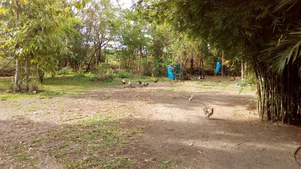 Suratthani Airport Campsite Surat Thani Exterior photo
