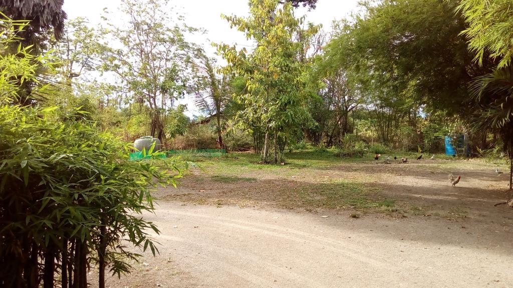 Suratthani Airport Campsite Surat Thani Exterior photo
