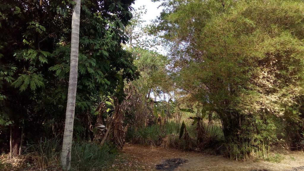 Suratthani Airport Campsite Surat Thani Exterior photo